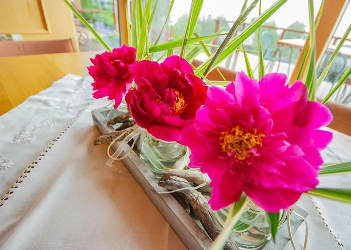 The Schatzie By Interhome * Egg